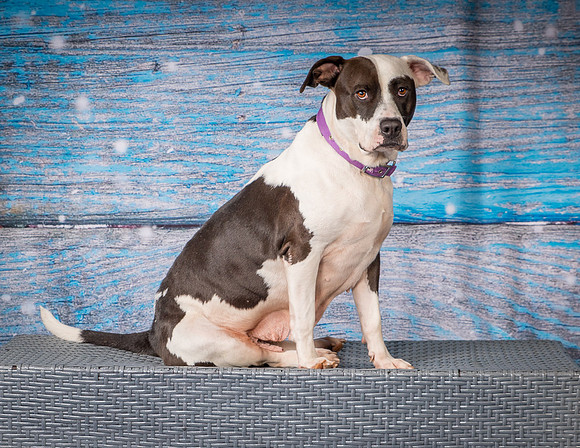 Foster Lucette-3203