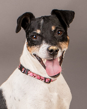 Foster Pollyanna-3908