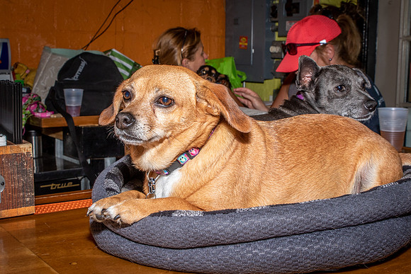 Willies Party-8575