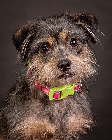 Foster Nadine-9627