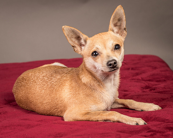 Foster Rosanna-3764