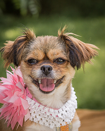 Foster Missy-0555