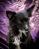 Foster Julio-6204