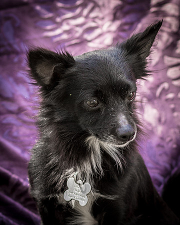 Foster Julio-6204