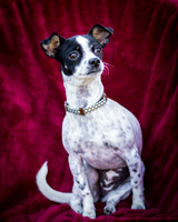 Foster Haylie-4008