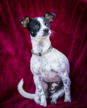 Foster Haylie-4008