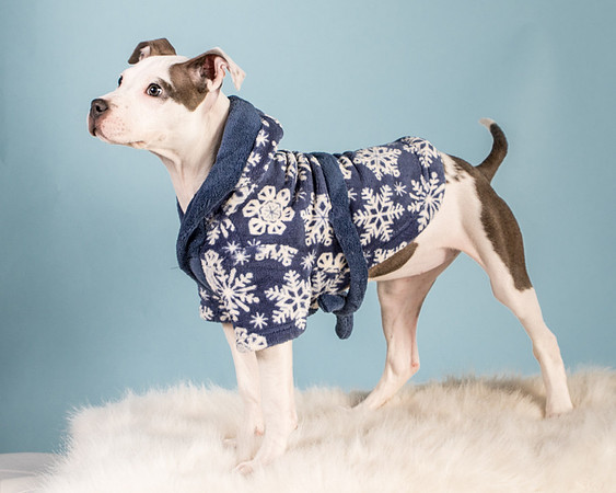 Foster Luna-4786