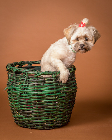 Foster Frida-9803