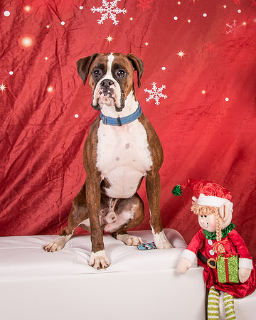 Buford-2576