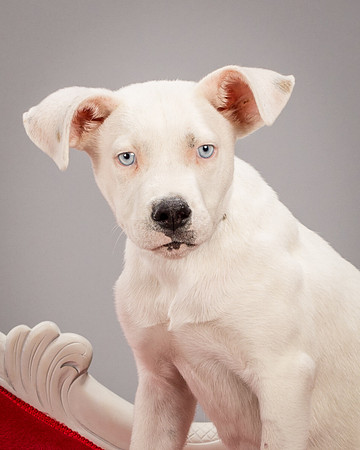 Foster Alvin-4725