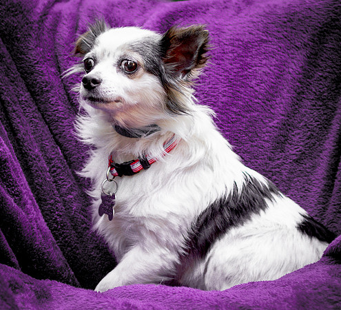 Foster Anouk-8814