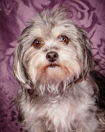 Foster Alex-6255