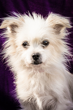 Foster Loni-9287