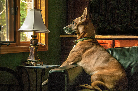 Roxy Chilling-2549