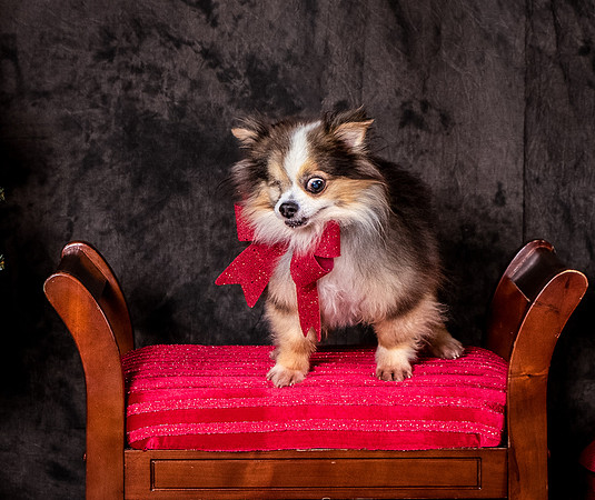 Foster Gabe-4453