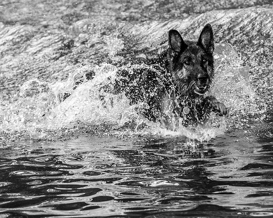 Gretchen on the run-BnW-1035