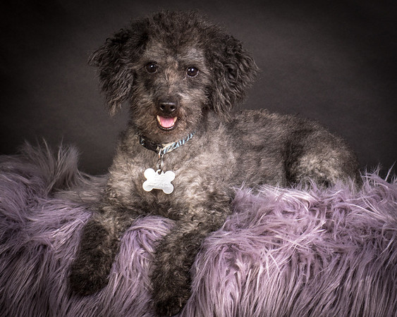 Foster Mokey-1348