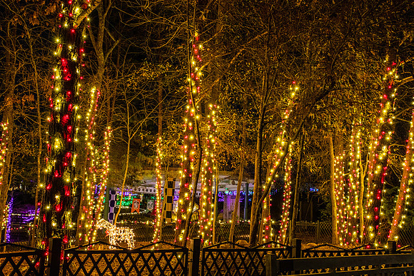 Christmas-2635