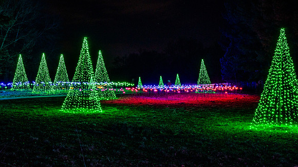 Christmas-2796