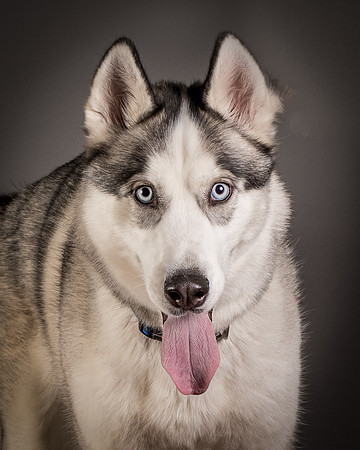 Foster Aspen-7651-2