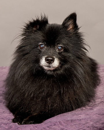 Foster Wayne-8290