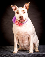 Foster Joanie-0411