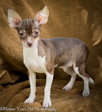 Foster Joanie-2-5