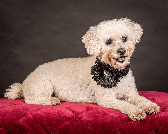Foster Mae-9059
