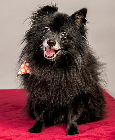 Foster Wayne-7858