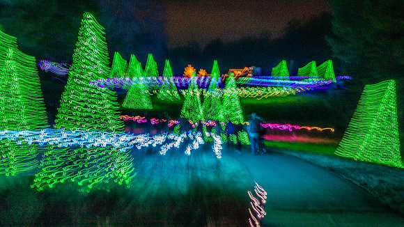 Christmas-2773