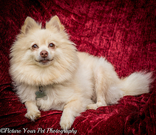 Foster Laverne-6218