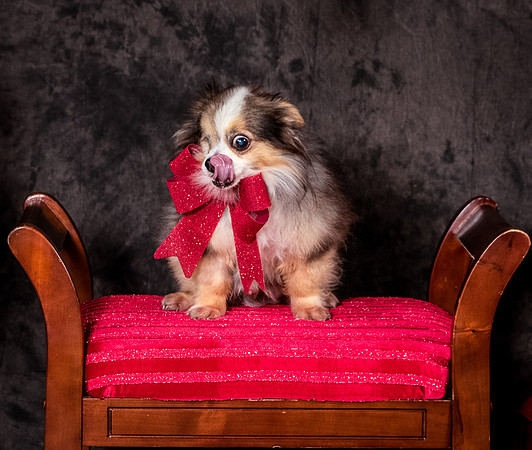 Foster Gabe-4436