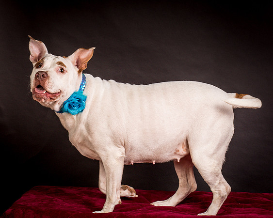 Foster Joanie-0454