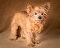 Foster Nessa-5615