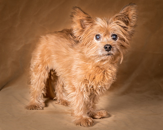 Foster Nessa-5615