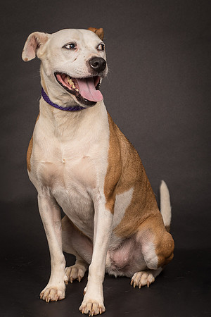 Foster Bowie-1248