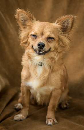 Foster Dolly-7728