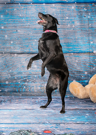 Foster Beatrice-4062