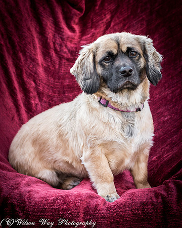 Foster Trudy-47