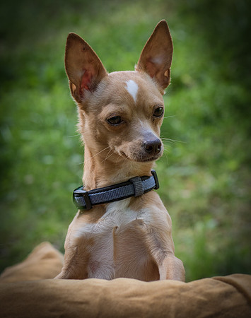 Foster Tony-8806