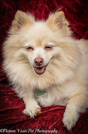 Foster Laverne-6217
