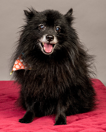 Foster Wayne-7843