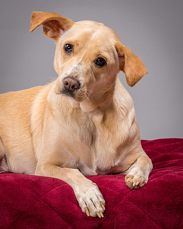 Foster June-3451