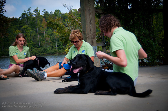 Guide Puppies (19 of 191)
