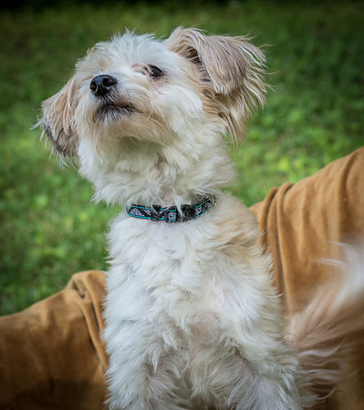 Foster Ricardo-8695