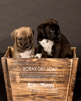 Fosters Pebbles and Gazoo-1713