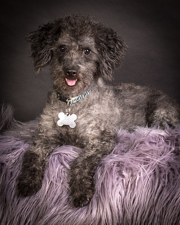 Foster Mokey-1354