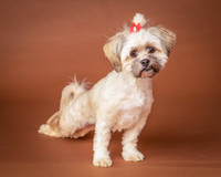 Foster Frida-9758