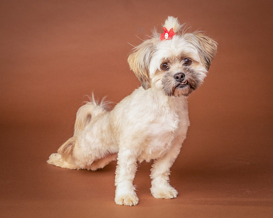 Foster Frida-9758