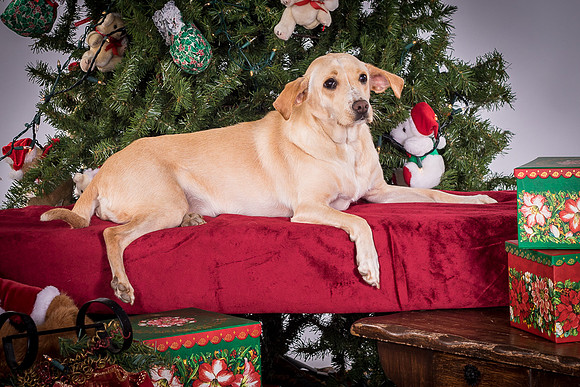 Foster June-3563